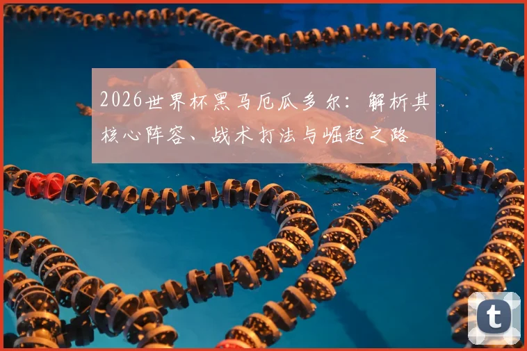 2026世界杯黑马厄瓜多尔：解析其核心阵容、战术打法与崛起之路